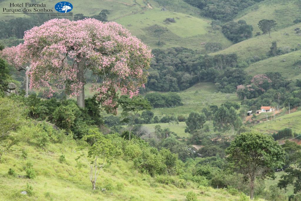 Hotel Fazenda Parque Dos Sonhos Socorro  Dış mekan fotoğraf