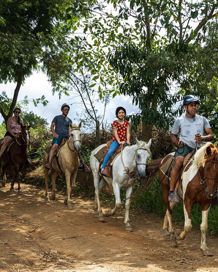 Hotel Fazenda Parque Dos Sonhos Socorro  Dış mekan fotoğraf